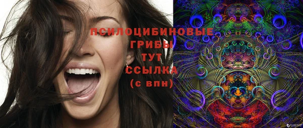 ешки Нефтекумск