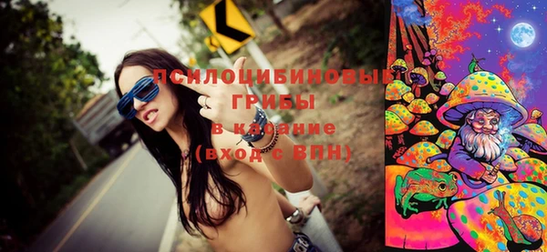 ешки Нефтегорск